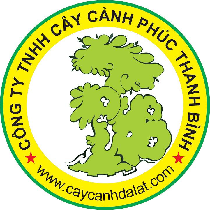 Cây Cảnh Đà Lạt